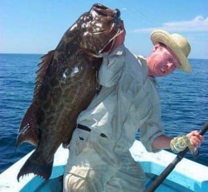 Large grouper caught deep sea fishing in panama