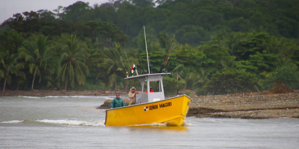 señor magoo coming in the rio negro rainy season fishing