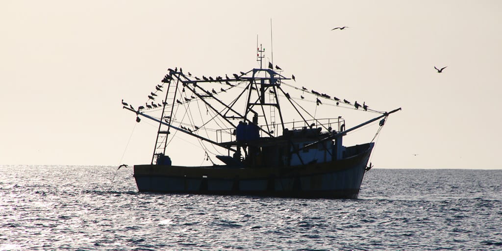 large long liner hovering over hannibal banks destroying Panama's fishery