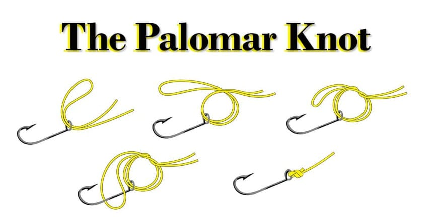 The Palomar Knot how to in 5 simple steps
