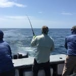 anglers all hooked up on tuna