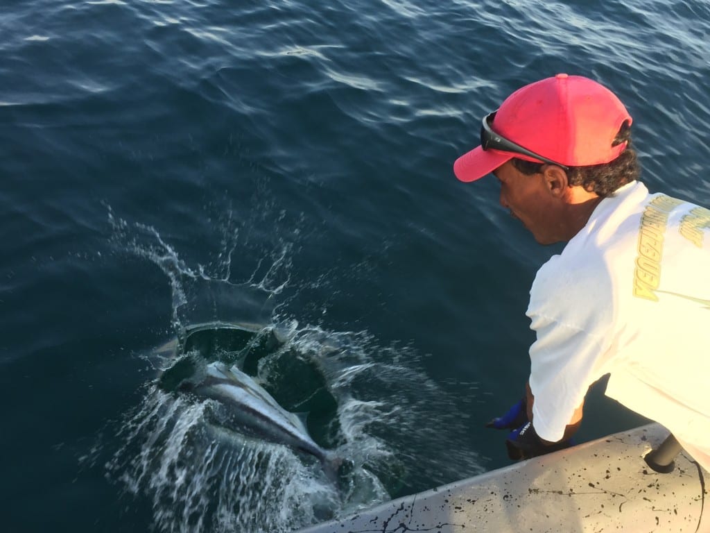 catch and release fishing in panama