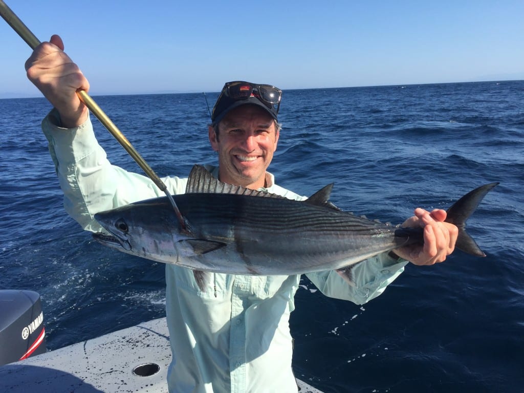 fishing on the tuna coast wild life