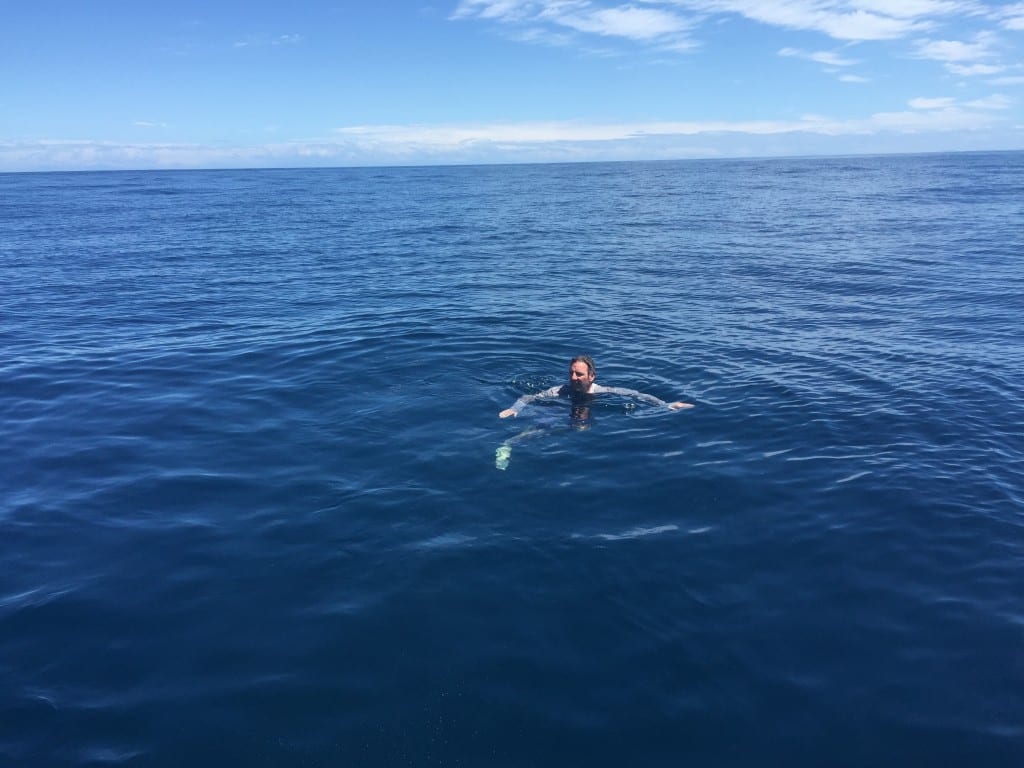 swimming in deep water off of coiba island