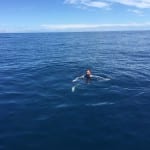 swimming in deep water off of coiba island
