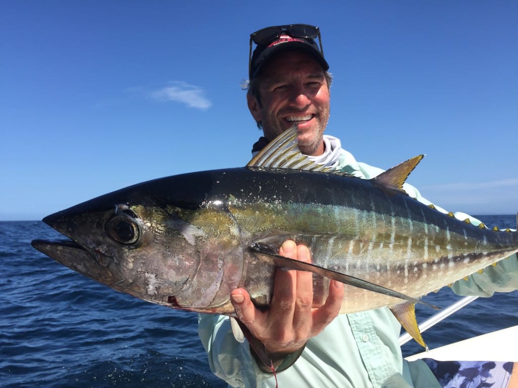 trent footbal sized tuna fishing cebaco island