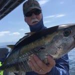 tuna boils lead to great catch with football size tuna