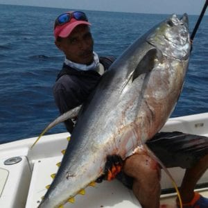 offshore fishing in panama success near famed coiba national park