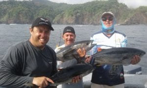 yellowfin tunas caught popping inshore fishing on vacation in panama