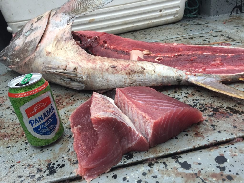amberjack filets fresh from fishing vacation in panama