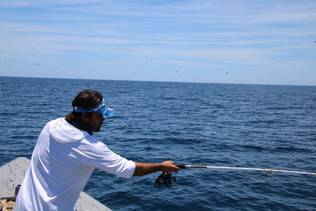 captain alex throwing the popper hoping to catch large yellowfin tuna