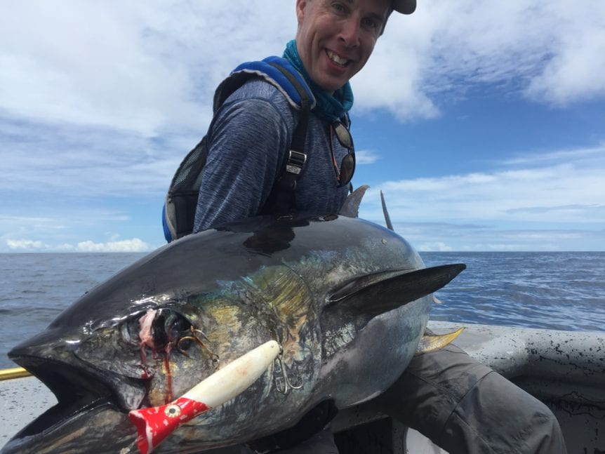 large yellowfin tuna caught near hannibal banks throwing popper