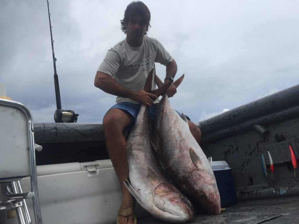 two amber jacks caught while jigging inshore fishing tuna coast