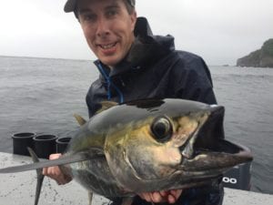 yellow fin tuna caught near cebaco bay panama