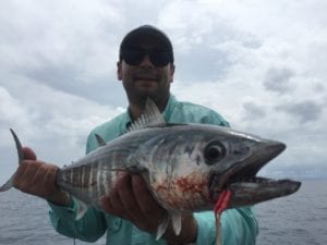 albacore tuna caught off of cebaco island in panama