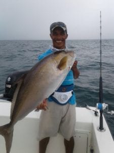 amber jack caught while saltwater fishing jigging near punta mariato in panama