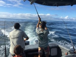 anglers hooked up fishing tuna coast panama
