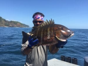 captain alex with rock snapper caught fishing panama inshore while on panama fishing charter