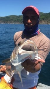 captain miguel front shot of amberjack caught inshore fishing panama on the tuna coast