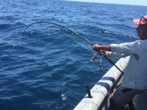 captain miguel hooked up on large tuna while on panama fishing charter