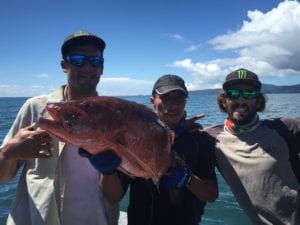 dog tooth snapper caught by group on fishing vacation in panama
