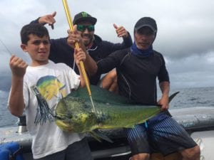 dorado caught during rainy season while on panama fishing vacation