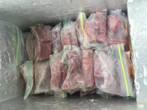 freezer full of filets caught by guests here on panama fishing vacation