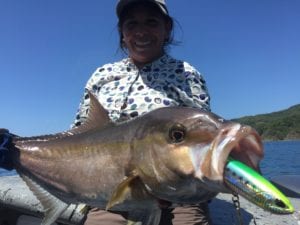 guest with nice amberjack caught while on a panama fishing vacation