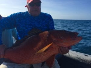 guest with nice dog tooth snapper caught inshore jigging near cebaco island panama during dry season