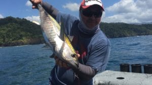 small yellow fin caught begining of the season in panama while staying at panama fishing lodge