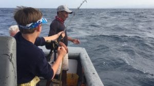young guest fighting tuna while on panama fishing vacation