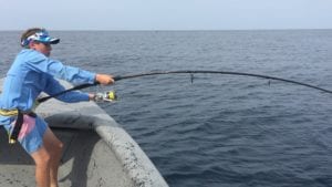 young guest hooked up on rod fighting tuna