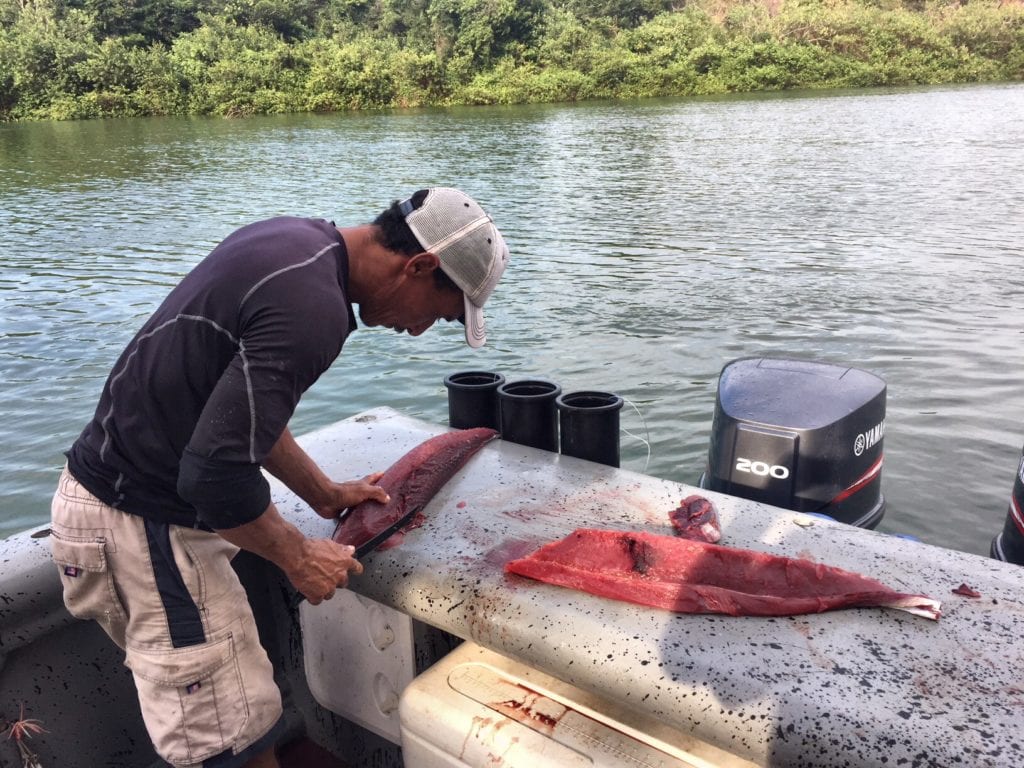 captain miguel fileting fish for guests after a day of charter fishing the azuero peninsula