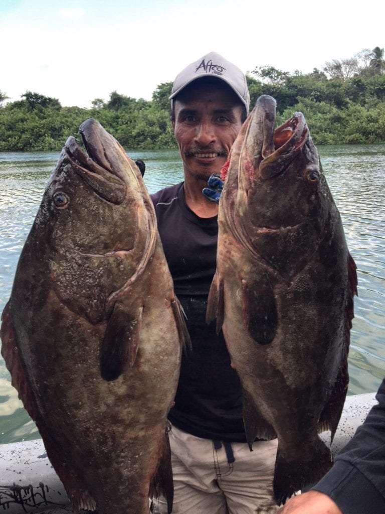 captain miguel with two nice groupers caught while on fishing charter around cebaco island panama
