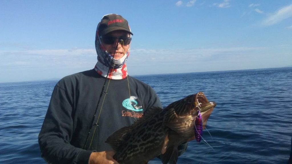 grouper caught inshore fishing