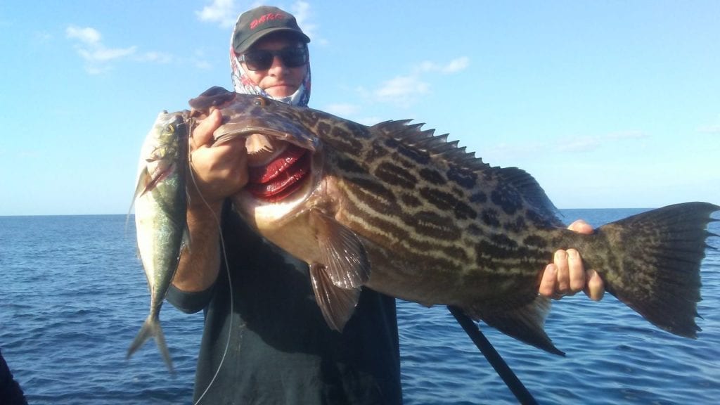 nice grouper caught while on fishing trip in panama with el rio negro