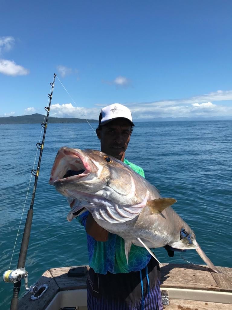 Amberjack panama jigging popping tuna coast sport fishing