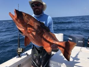 cubera snapper caught by brian about to be released by the el rio negro sport fishing lodge