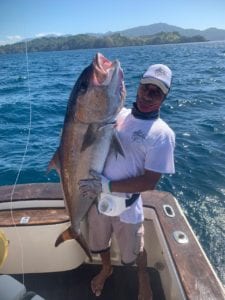 large amberjack caught fishing off coast of playa reina fishing in panama