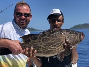 small broomtail grouper caught in panama pictured before release by el rio negro team