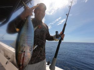 yellowfin tuna on the tuna coast of panama